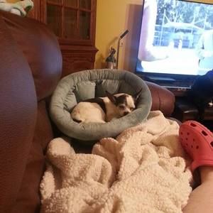 Meet your Posher, Barb